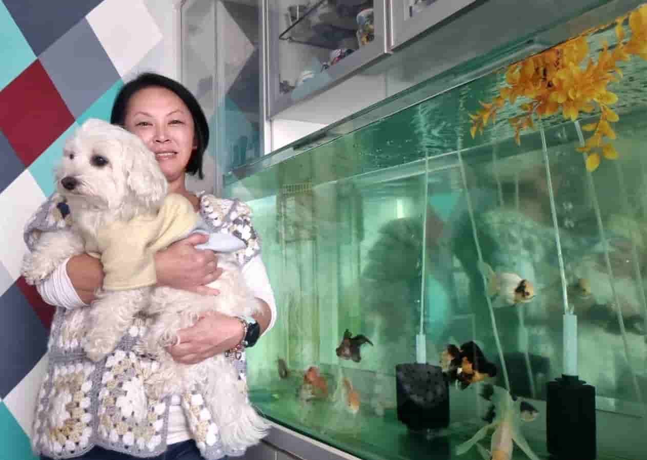 Curadoria AquaTC 30 Valtersky e Márcia no Aquário de 400L
